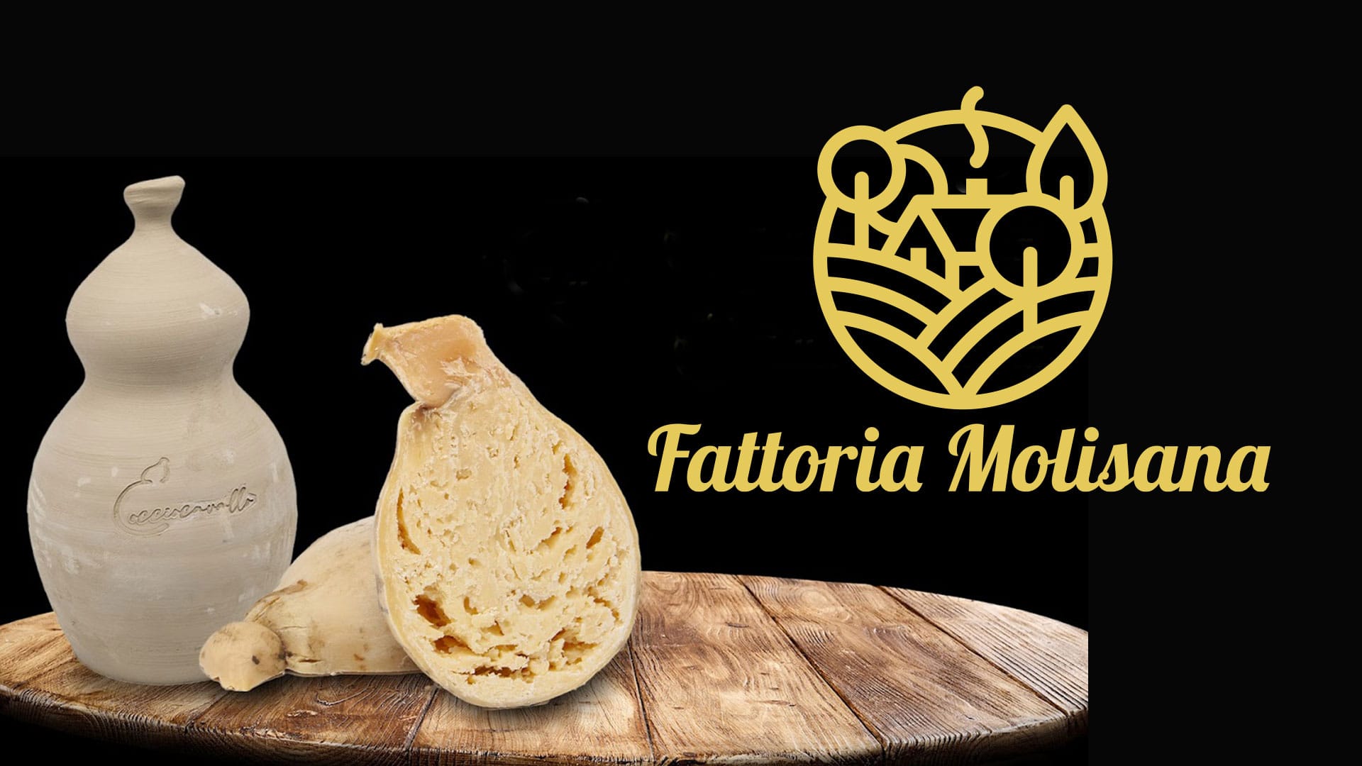 FATTORIA MOLISANA SRL